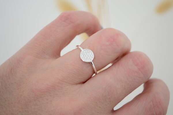 Anillo CARMEN: Centro Redondo Cubierto de Micro Cúbics - Imagen 2